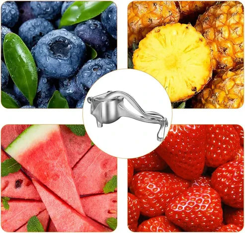 Exprimidor Metálico de Jugo de Fruta - ENVÍO GRATIS